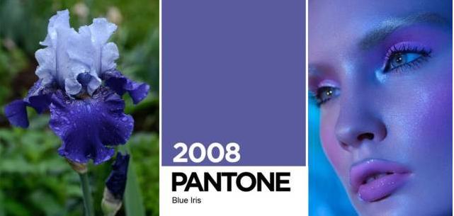 在pantone色卡中,关于鸢尾花的颜色也犹如彩虹一样,和谐美丽.